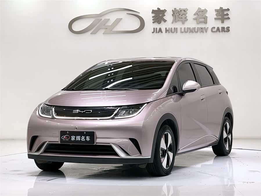 BYD Dolphin 2024 imagem de carro #2