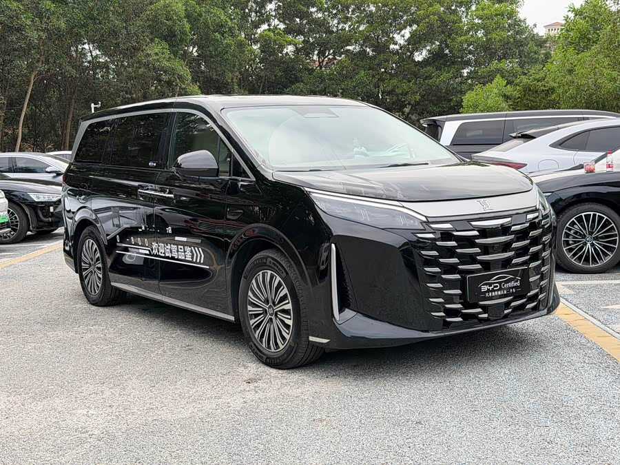 BYD Xia 2025 imagen de coche #2