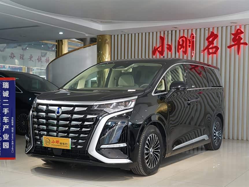 Denza D9 2024 imagem de carro #2