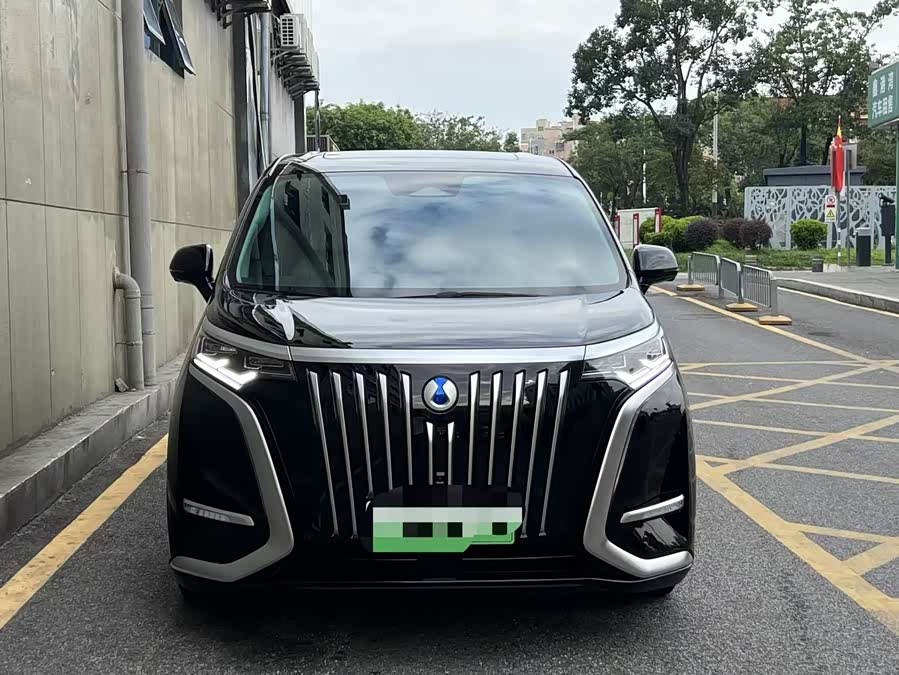 Denza D9 2024 car image #2