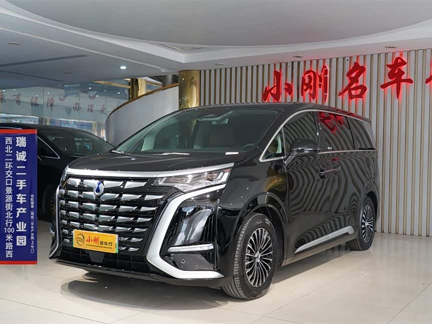 Denza D9 2025 imagen de coche #2