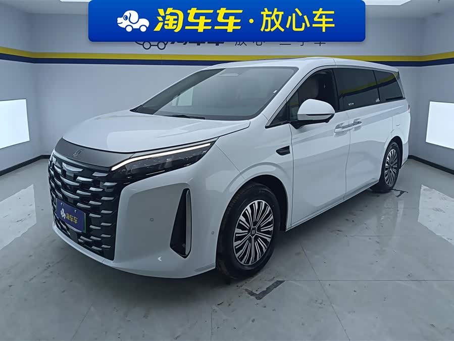 BYD Xia 2025 imagen de coche #2