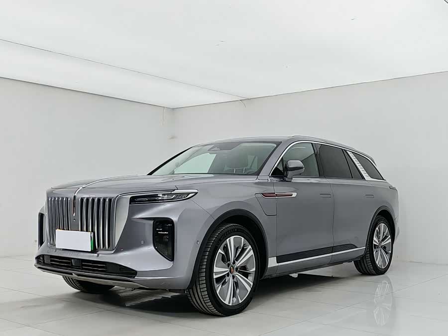 HongQi E-HS9 2023 car image #2