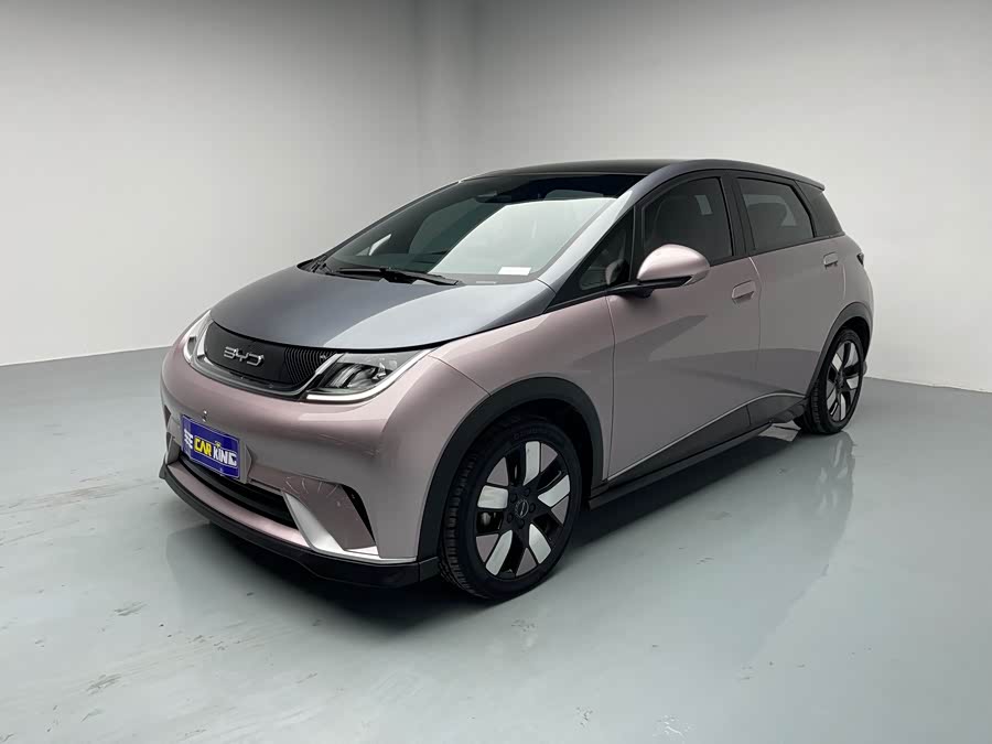 BYD Dolphin 2022 صورة سيارة #2