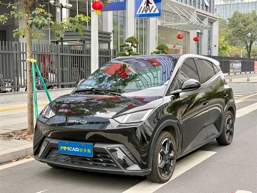 BYD Seagull 2024 imagen de coche #2