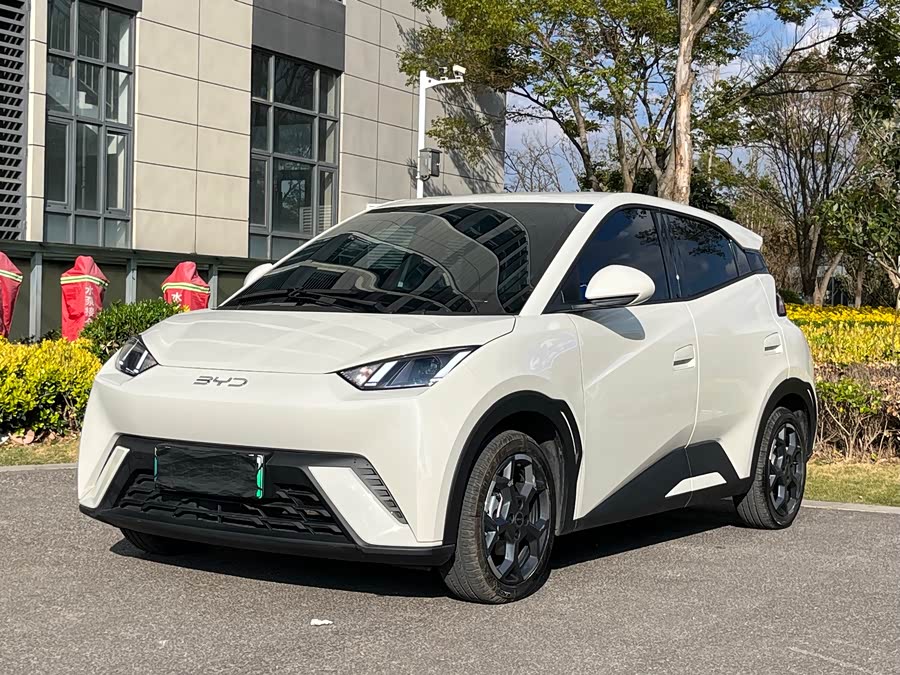 BYD Seagull 2023 immagine di auto #2