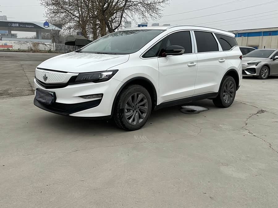 睿蓝汽车 枫叶80v PRO 2024 汽车图片 #2