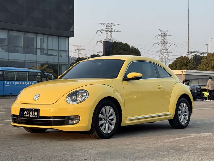 Volkswagen Beetle 2013 immagine di auto #2