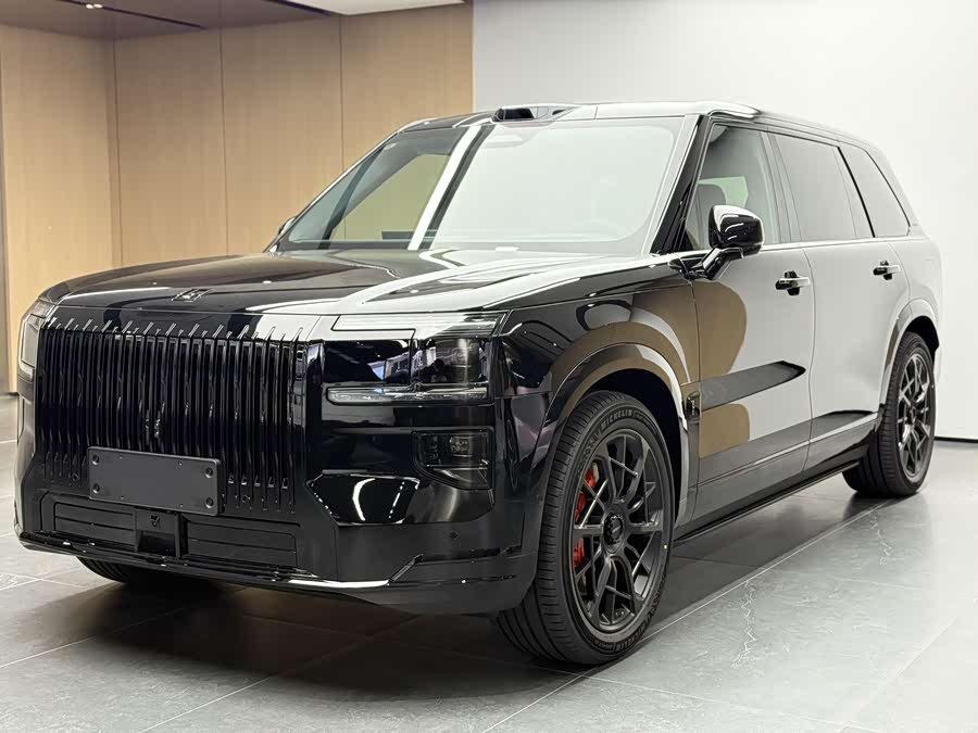 极氪 极氪9X 汽车图片 #2