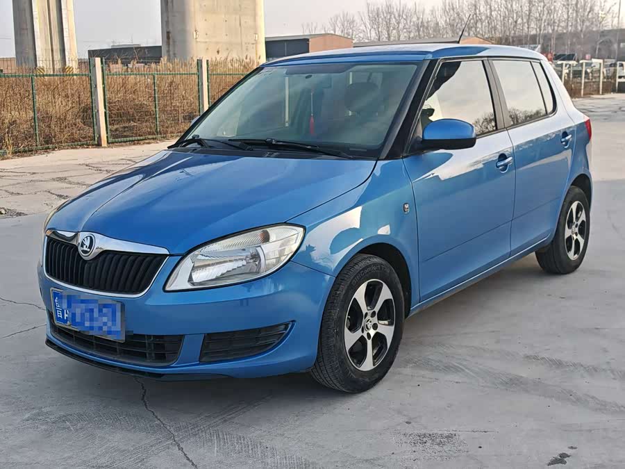 Skoda Fabia 2014 immagine di auto #2