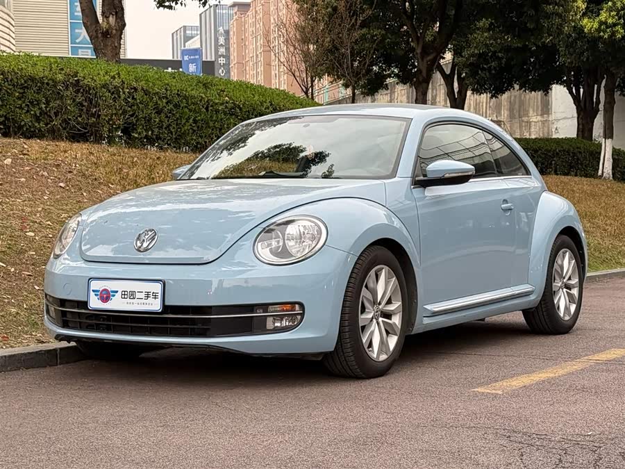 Volkswagen Beetle 2014 immagine di auto #2