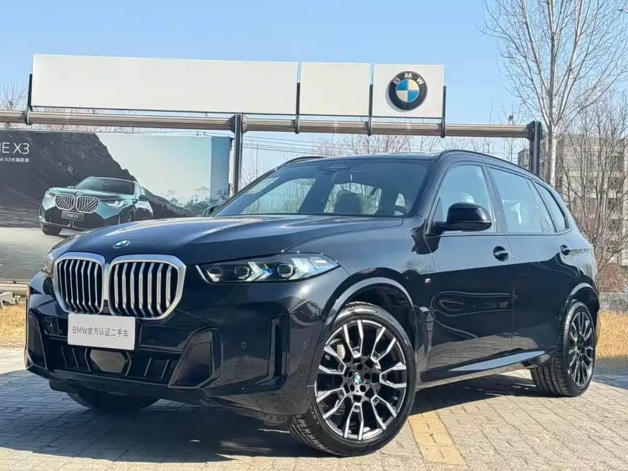 BMW X5 imagen de coche #2