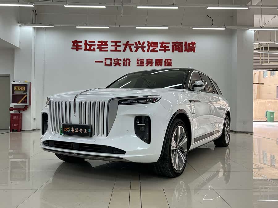 HongQi E-HS9 2023 immagine di auto #2