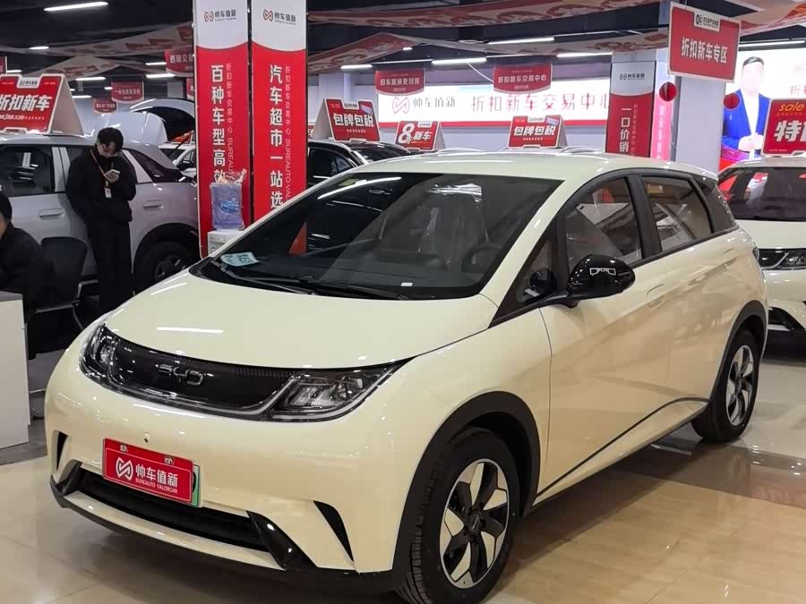 BYD Dolphin 2026 صورة سيارة #2