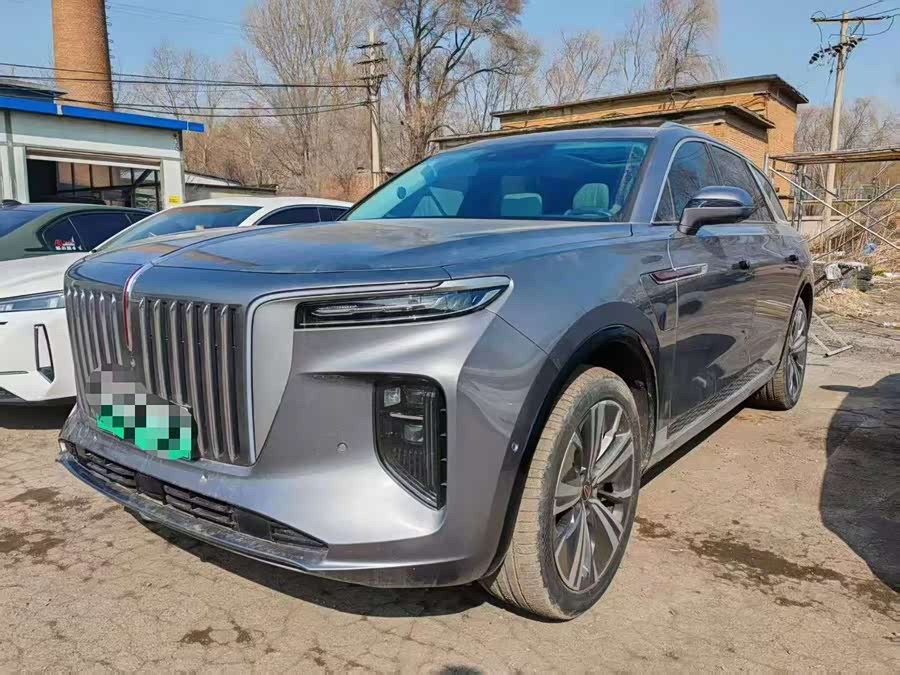HongQi E-HS9 2021 imagem de carro #2