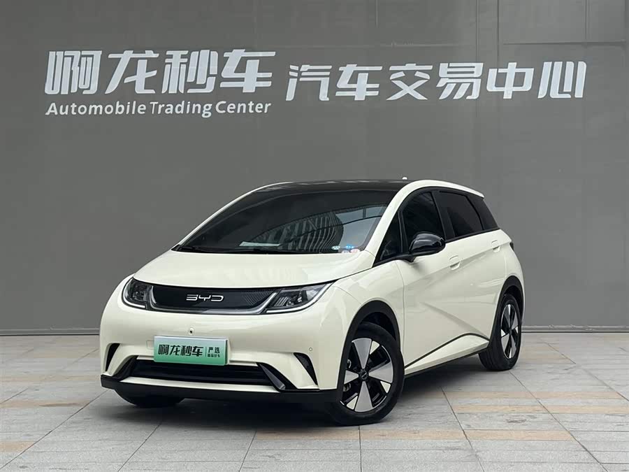 BYD Dolphin 2023 imagem de carro #2