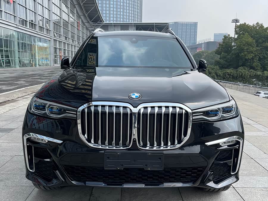 BMW X7 2019 imagen de coche #2