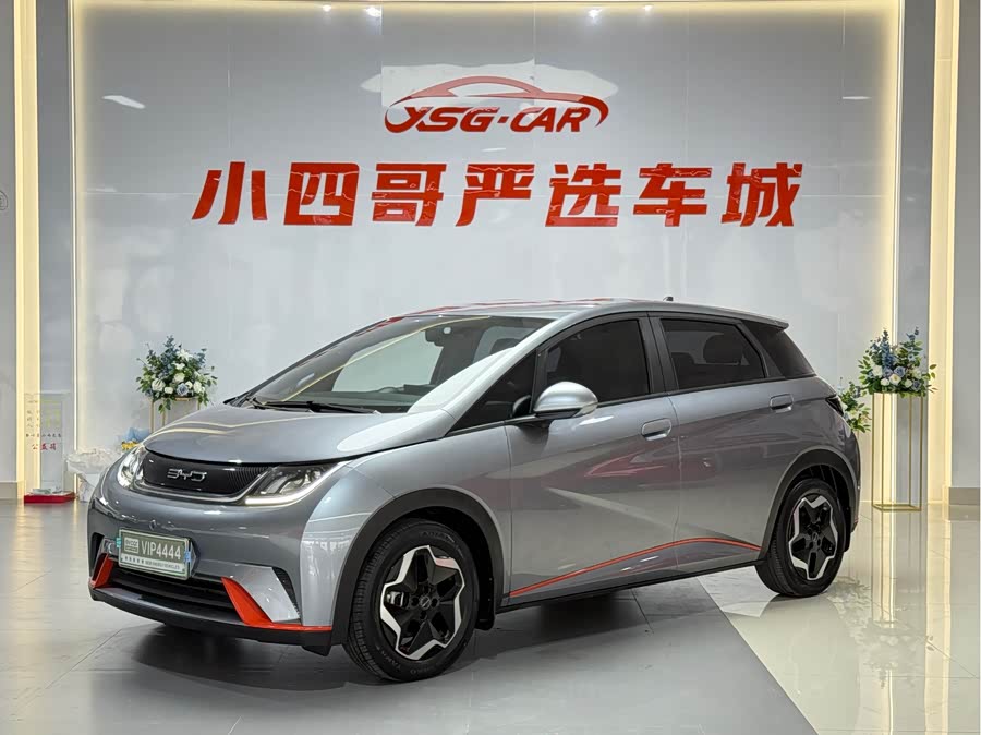 BYD Dolphin 2023 imagem de carro #2