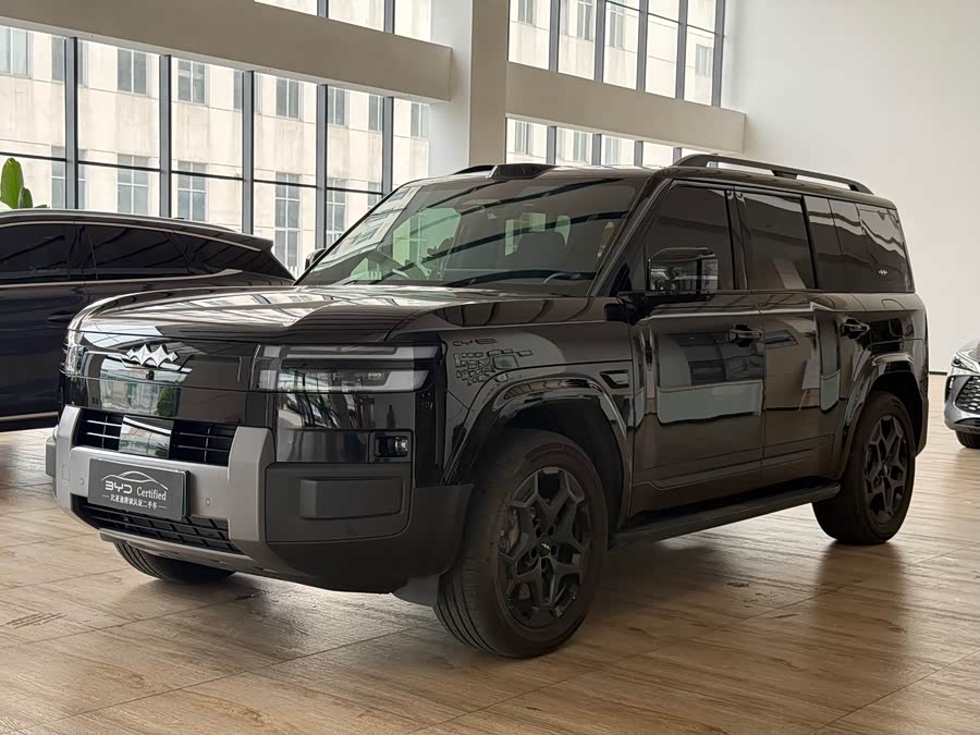 FangChengBao Tiger 7 2025 immagine di auto #2