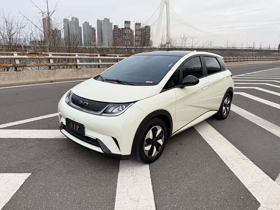 BYD Dolphin 2024 صورة سيارة #2