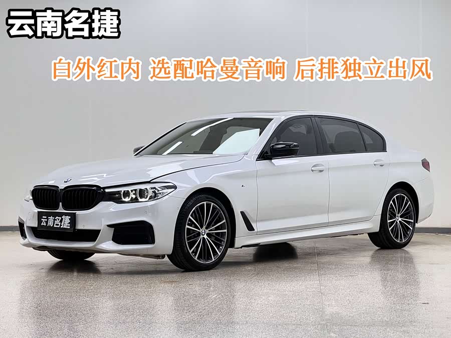 BMW 5 Series 2019 car image #2