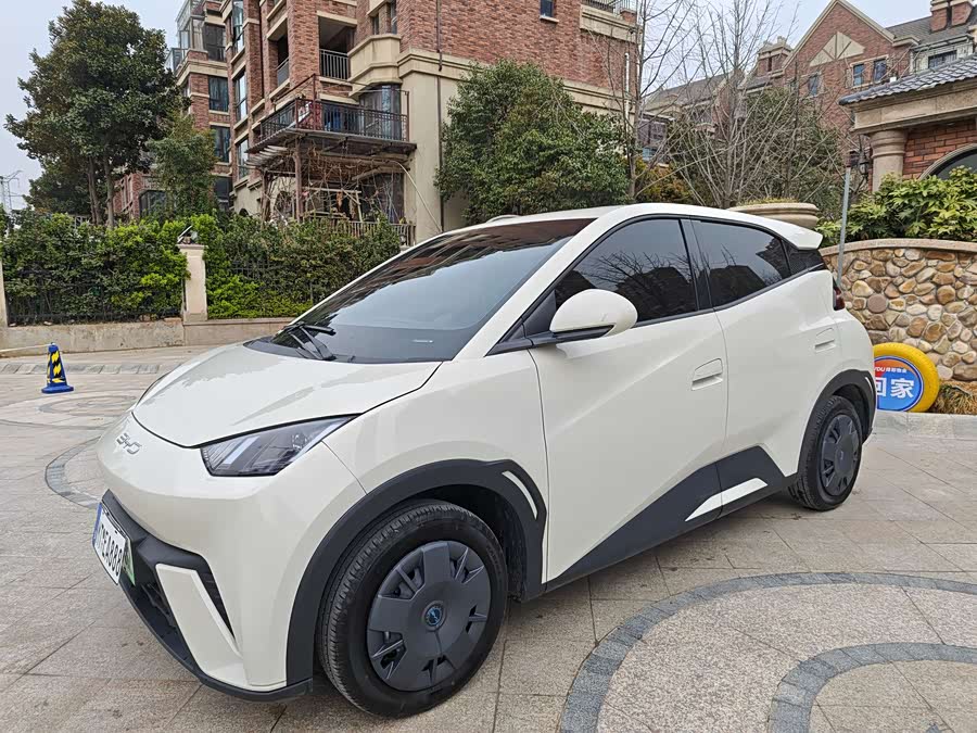 BYD Seagull 2025 car image #2