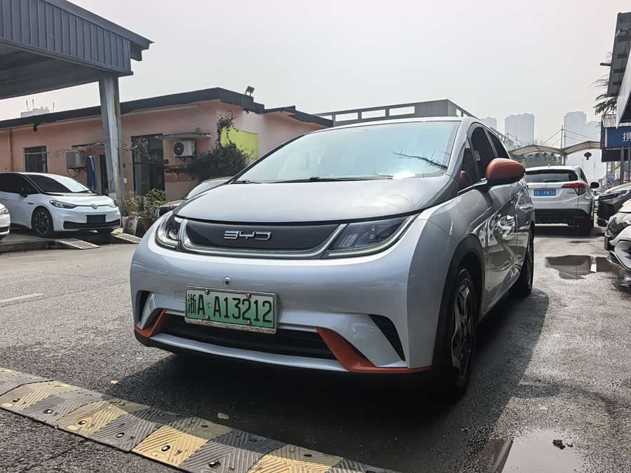 BYD Dolphin 2021 imagem de carro #2