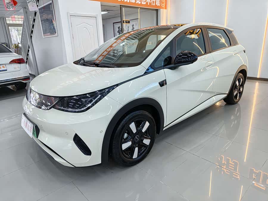 BYD Dolphin 2025 imagen de coche #2