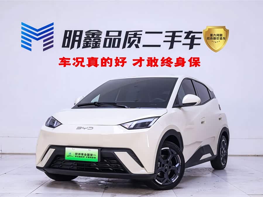 BYD Seagull 2025 immagine di auto #2