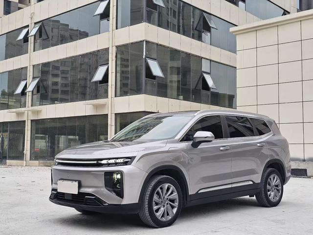 睿蓝汽车 睿蓝9 2023 汽车图片 #2