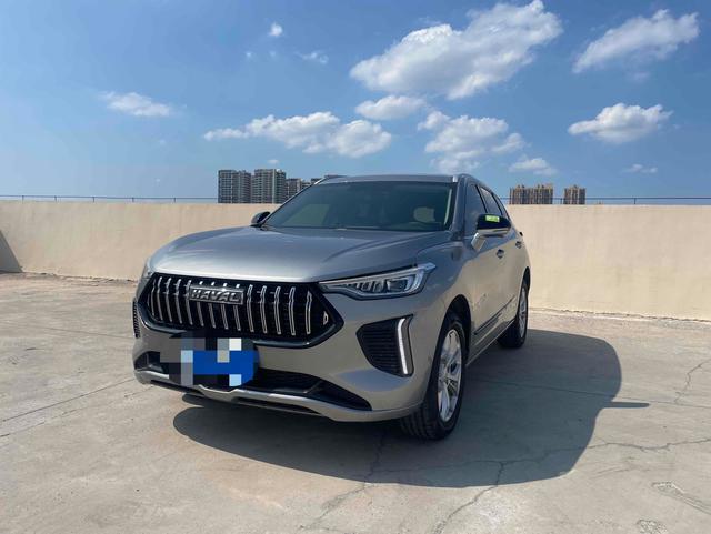 Haval Rabbit 2024 car image #2