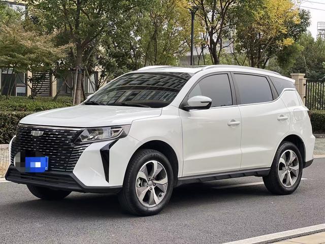 GEELY OkavangoPRO 2024 car image #2