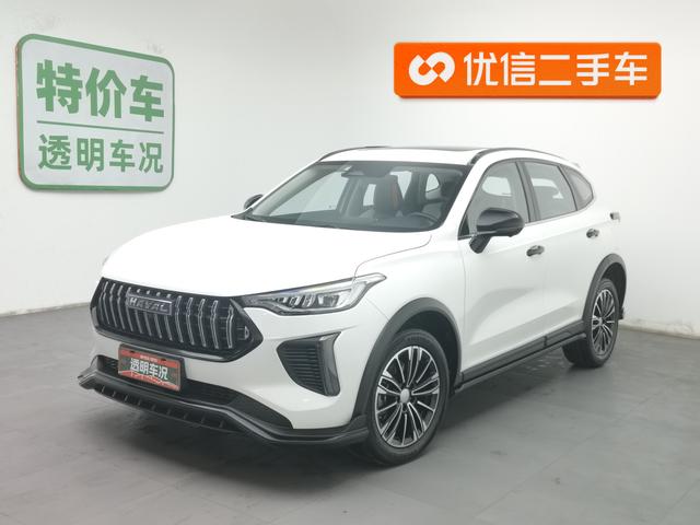 Haval Rabbit 2024 #2 Haval Rabbit 2024 car image #2