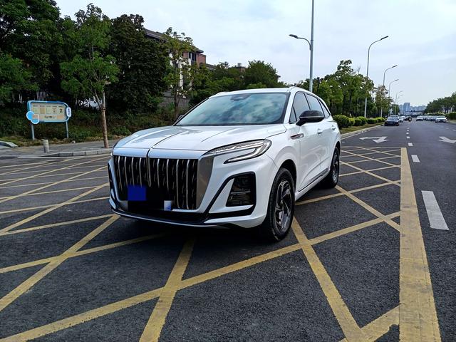 HongQi HS3 2023 immagine di auto #2