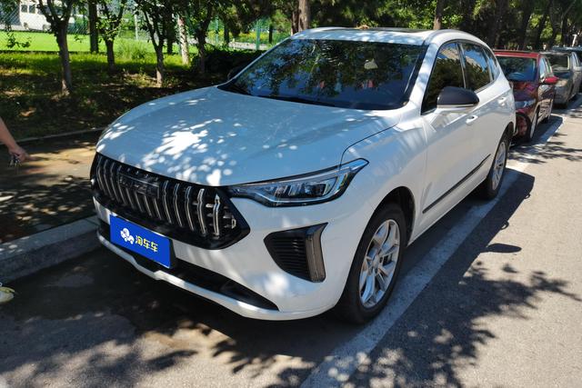 Haval Rabbit 2024 صورة سيارة #2