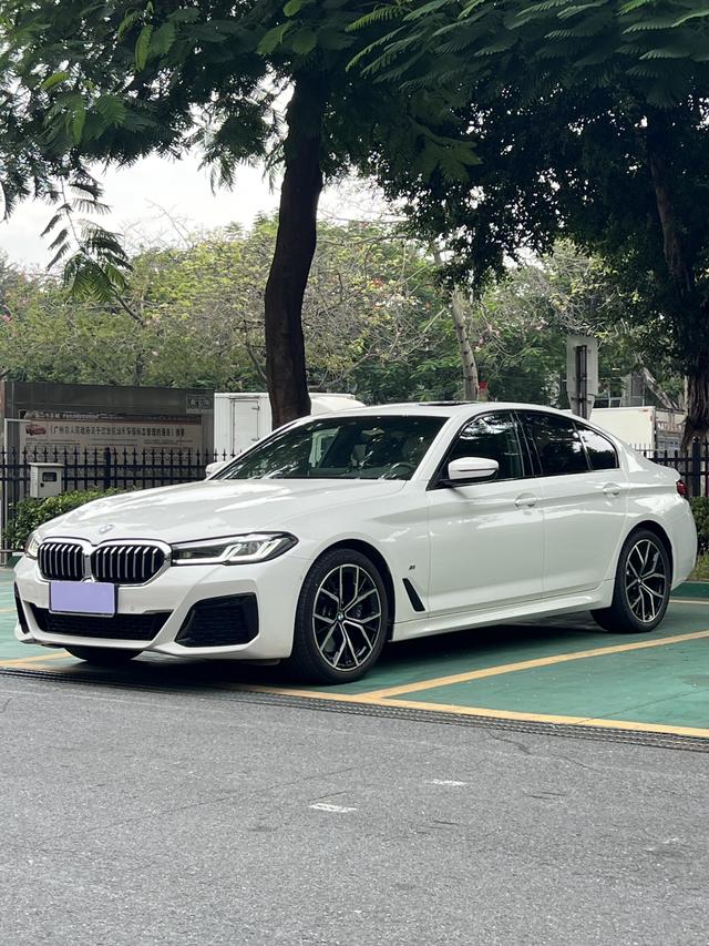 BMW 5 Series (Imported) 2021 imagem de carro #2