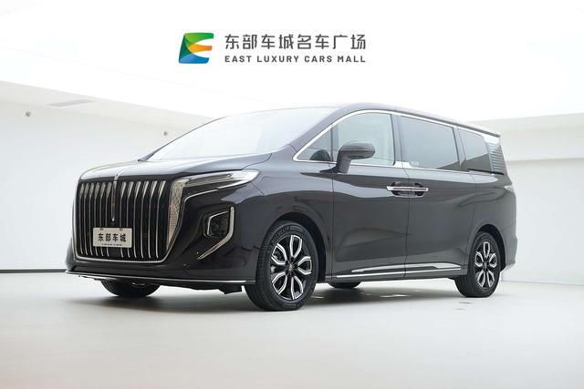 HongQi HQ9 2023 immagine di auto #2