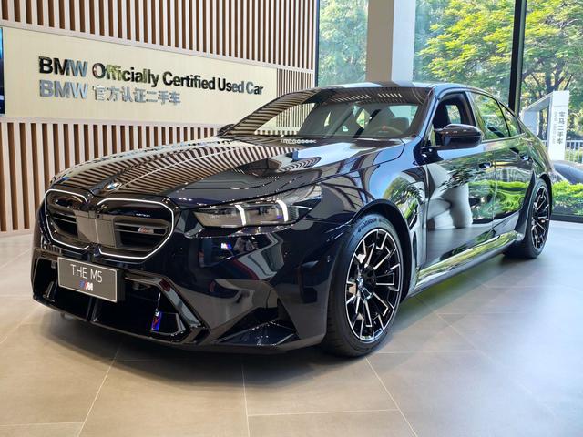 BMW M5 New Energy car image #2