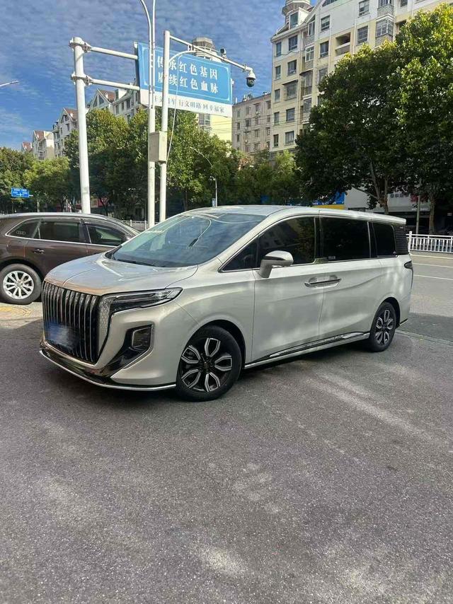 HongQi HQ9 2022 immagine di auto #2