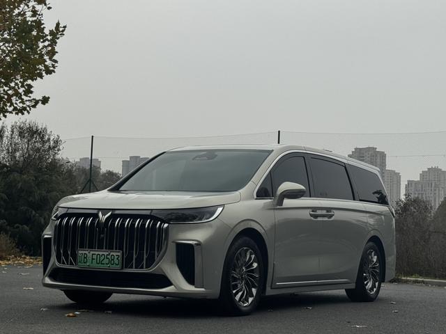 岚图汽车 岚图梦想家 2022 汽车图片 #2