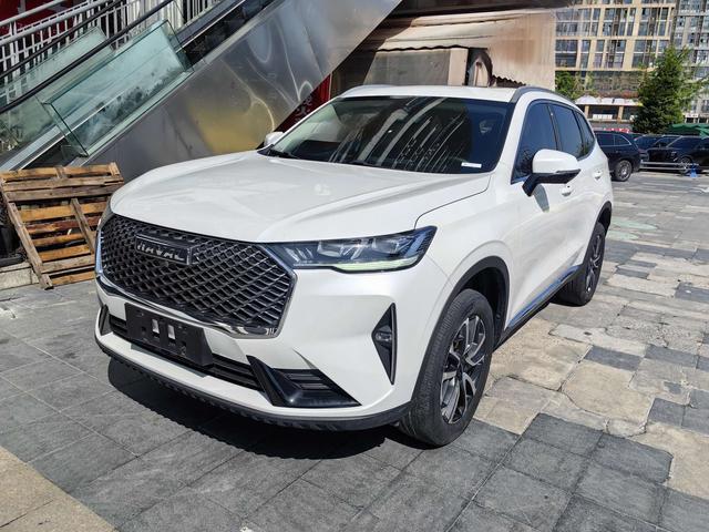 Haval H6 2021 car image #2