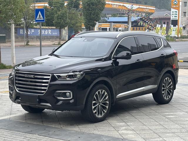 Haval H6 2019 car image #2