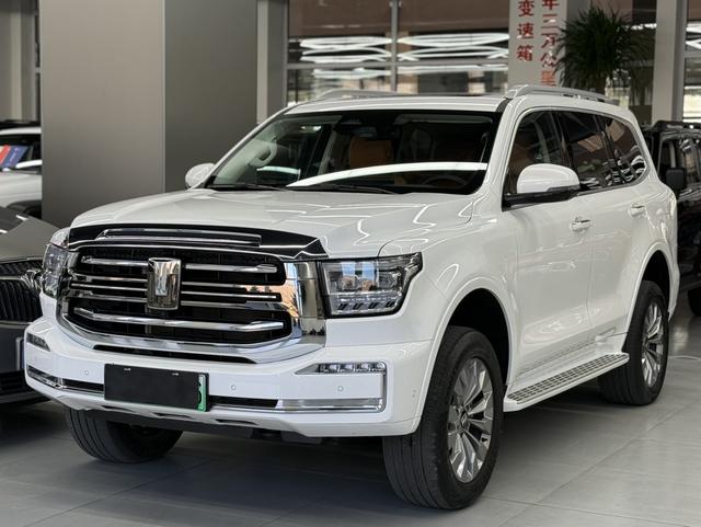 Tank 500 2024 car image #2