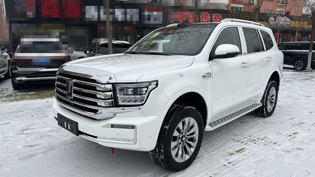 Tank 500 2025 car image #2