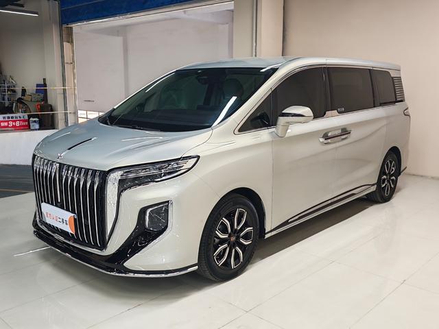 HongQi HQ9 2023 car image #2