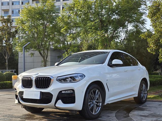 BMW X4 2019 car image #2