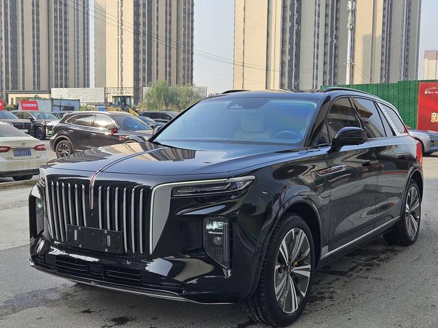 HongQi E-HS9 2022 car image #2