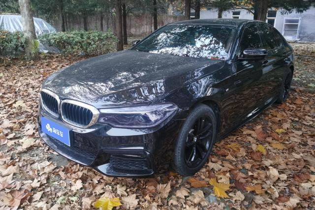 BMW 5 Series (Imported) 2019 #2 BMW 5 Series (Imported) 2019 car image #2