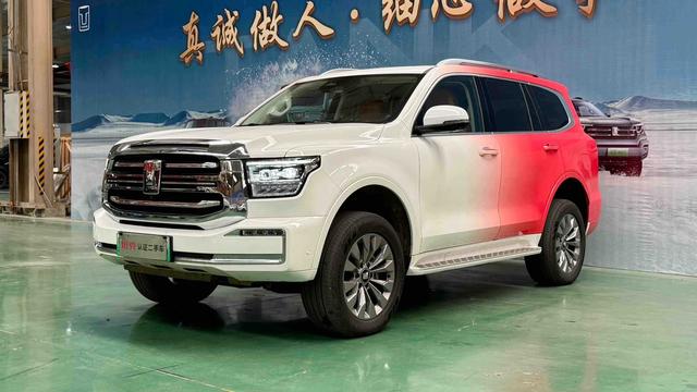 Tank 500 2024 car image #2