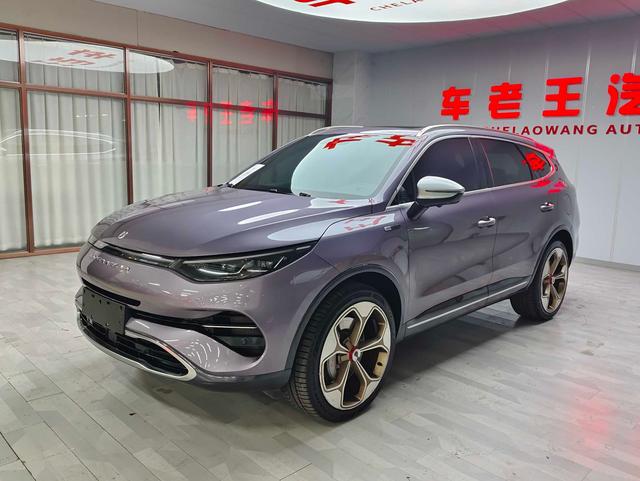 Denza N8 2021 car image #2